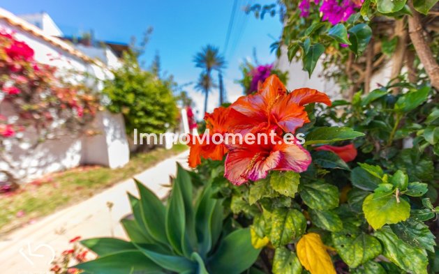 Resale - Detached villa - Estepona - Estepona Centro