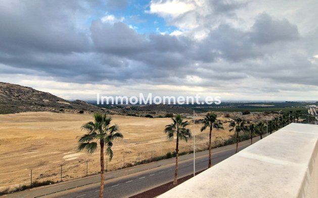 Resale - Detached villa - Algorfa - Algorfa Centro