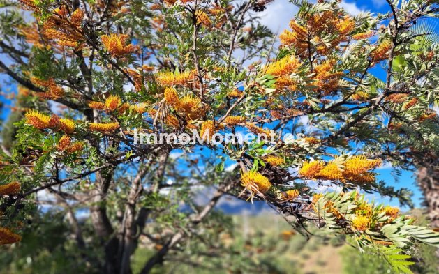 Resale - Country house - Mijas - Entrerrios