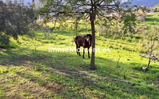 Resale - Country house - Mijas - Entrerrios