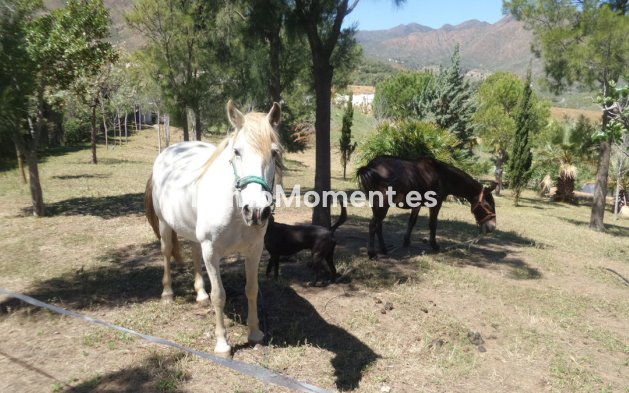 Resale - Country house - Mijas - Entrerrios