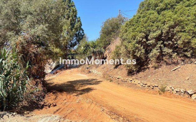 Revente - Parcelle - Marbella - El Rosario