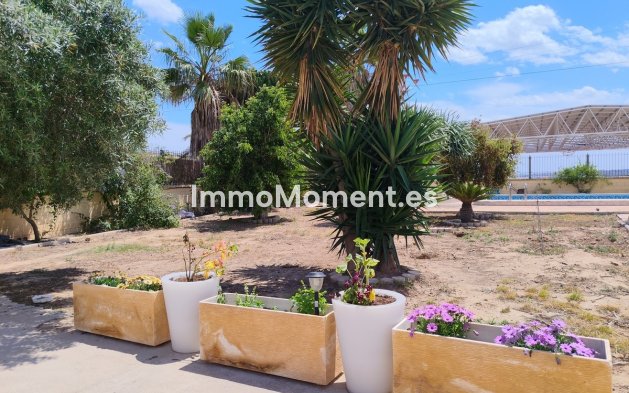 Resale - Detached villa - Los Montesinos - Los Montesinos Centro