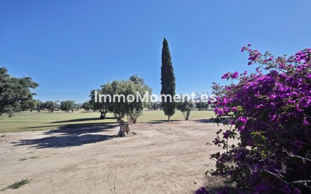 Resale - Detached villa - Algorfa - Algorfa Centro