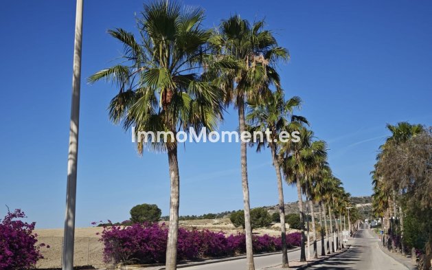 Resale - Detached villa - Algorfa - Algorfa Centro