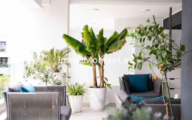 Reventa - Apartamento - Estepona  - Estepona Centro