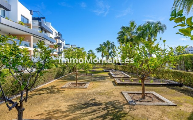 Wiederverkauf - Wohnung - Orihuela - Villamartin