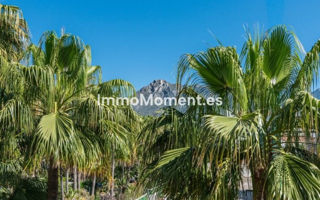 Bestaande woning - Appartement - Marbella - Nagüeles