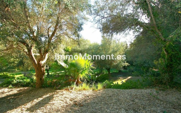 Bestaande woning - Perceel - Mijas - Mijas Centro