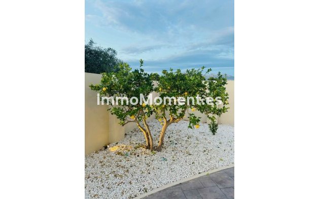Resale - Detached villa - Alfaz del Pi - L'Alfás del Pi Centro