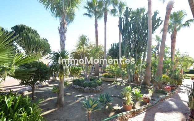 Resale - Detached villa - Benalmadena - Benalmadena Centro