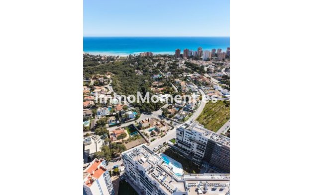 Nieuwbouw - Vrijstaande villa - Dehesa de Campoamor