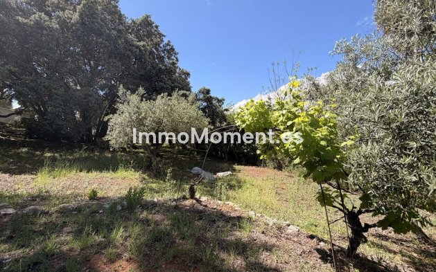 Resale - Detached villa - Inland  - Alhaurín el Grande Centro