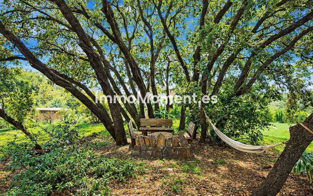 Resale - Detached villa - Inland  - Alhaurín el Grande Centro