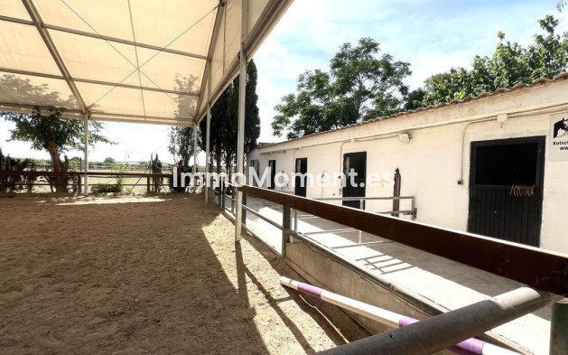 Resale - Townhouse - Orihuela - Orihuela Centro