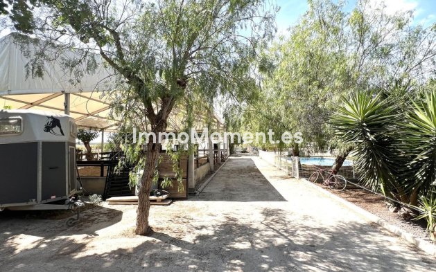 Resale - Townhouse - Orihuela - Orihuela Centro