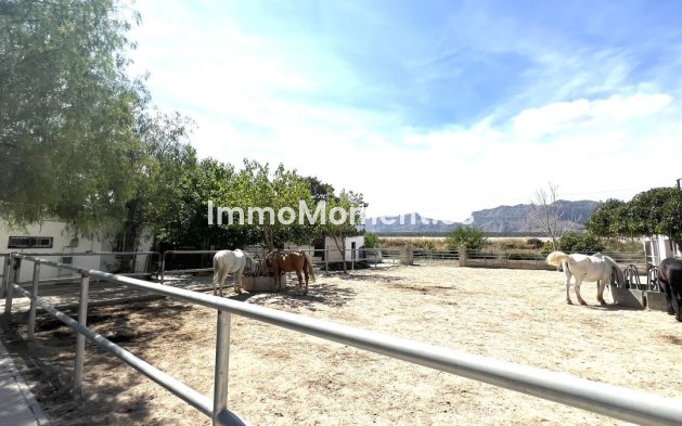 Resale - Townhouse - Orihuela - Orihuela Centro