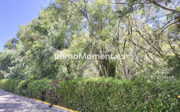 Reventa - Apartamento - Mijas - Calahonda