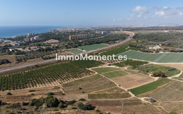 Wiederverkauf - Freistehende Villa - Orihuela - Cabo roig - La Zenia