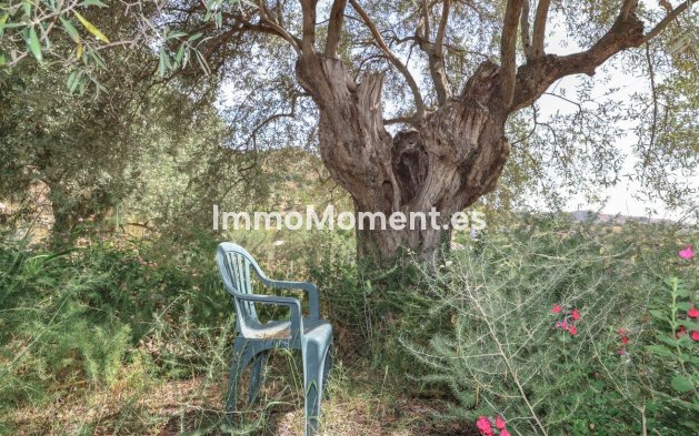 Resale - Detached villa - Inland  - Monda