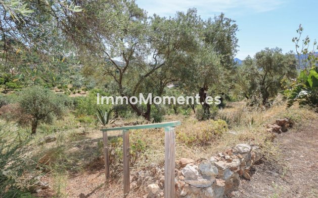 Resale - Detached villa - Inland  - Monda
