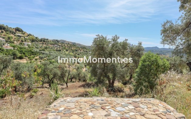 Resale - Detached villa - Inland  - Monda