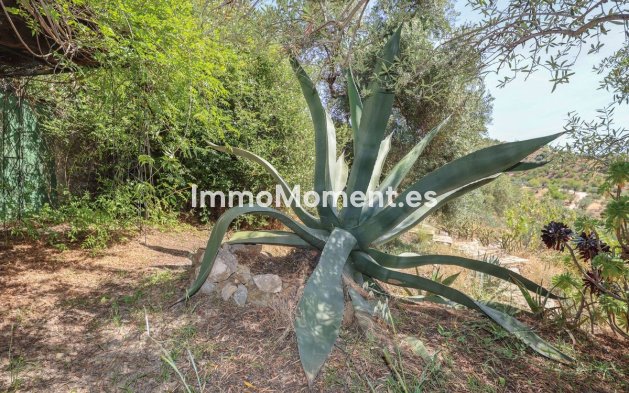 Resale - Detached villa - Inland  - Monda