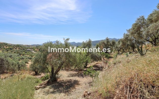 Resale - Detached villa - Inland  - Monda