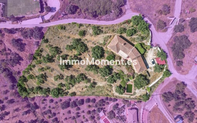 Resale - Detached villa - Inland  - Monda