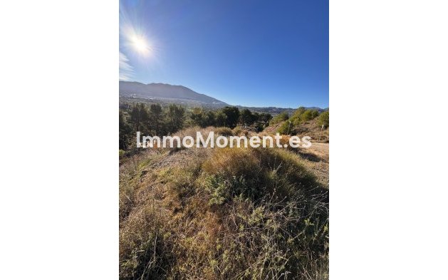 Reventa - Villa independiente - Interior  - Alhaurín el Grande Centro
