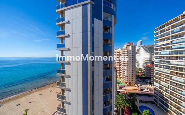 Reventa - Apartamento - Calpe - Calpe Centro