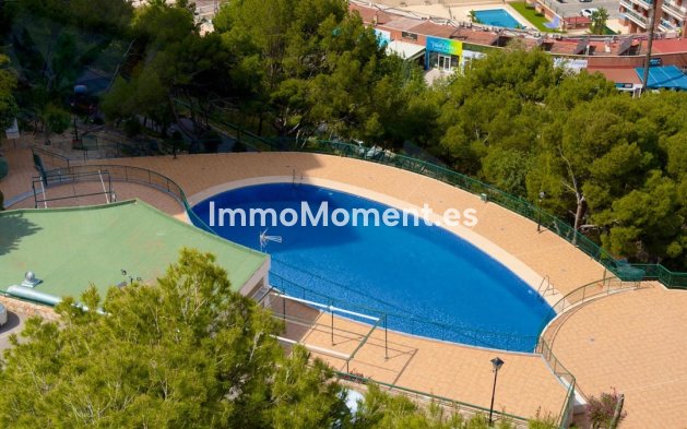 Revente - Appartement - Benidorm - Benidorm Centro