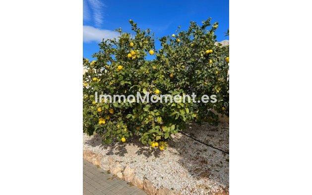 Reventa - Villa independiente - Altea - Altea Centro