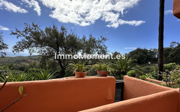 Reventa - Apartamento - Marbella - La Mairena