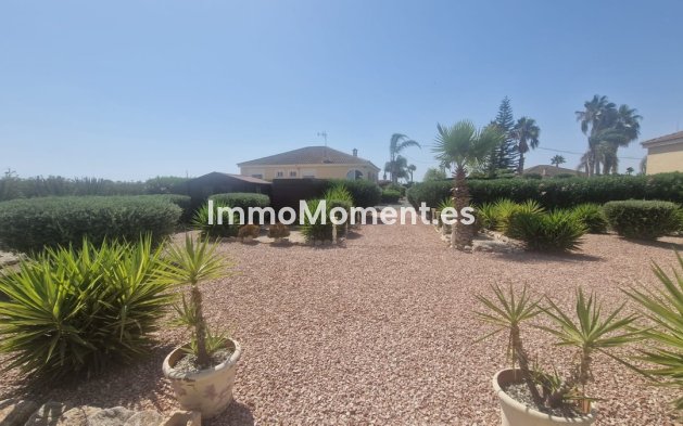 Bestaande woning - Vrijstaande villa - Catral - Catral Centro