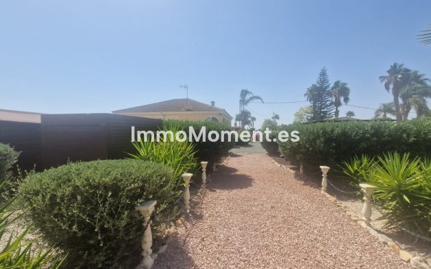 Bestaande woning - Vrijstaande villa - Catral - Catral Centro