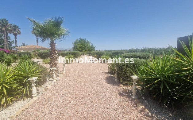 Bestaande woning - Vrijstaande villa - Catral - Catral Centro