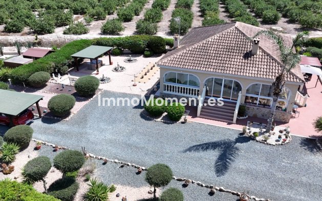 Bestaande woning - Vrijstaande villa - Catral - Catral Centro