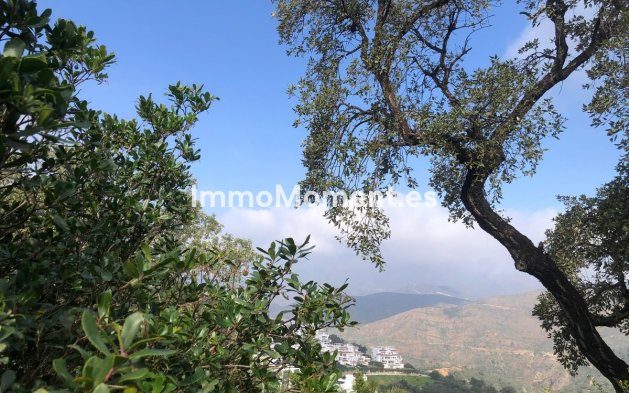 Revente - Appartement - Marbella - La Mairena