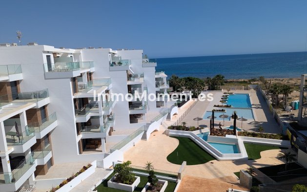 Construction neuve - Appartement - Denia