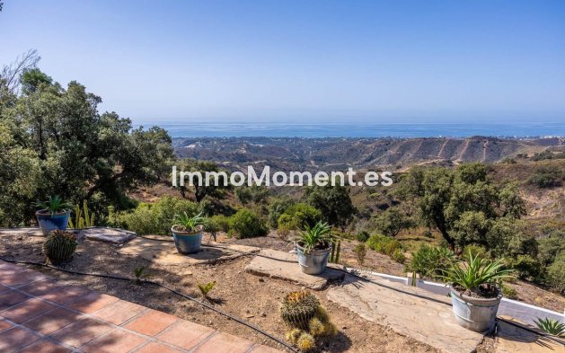 Bestaande woning - Vrijstaande villa - Marbella - Marbella Centro