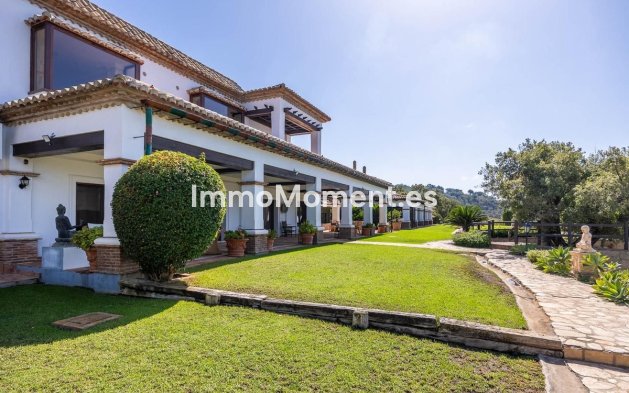Bestaande woning - Vrijstaande villa - Marbella - Marbella Centro