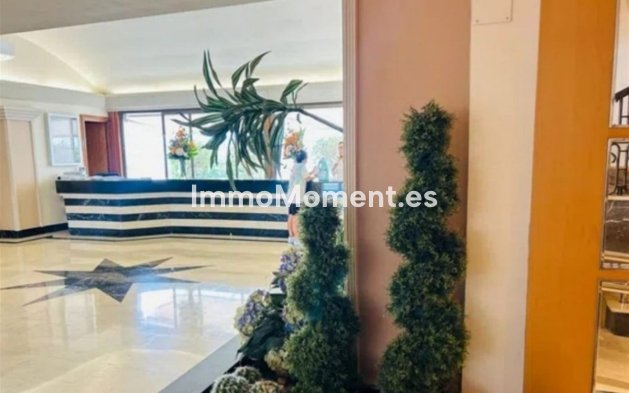Resale - Apartment - Marbella - Nueva Andalucía
