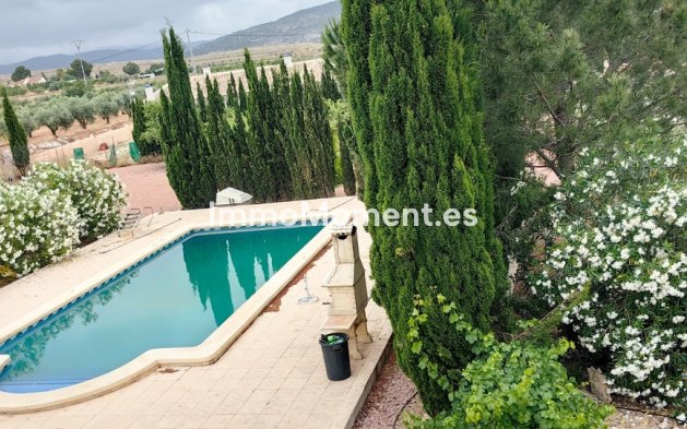 Wiederverkauf - Freistehende Villa - Pinoso - Pinoso Centro