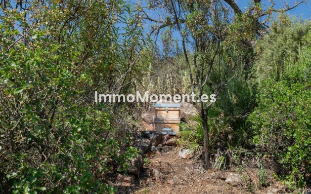 Resale - Country house - Inland  - Almogía