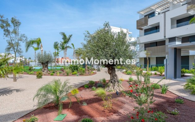 Bestaande woning - Appartement - Torre Pacheco - Torre-Pacheco Centro