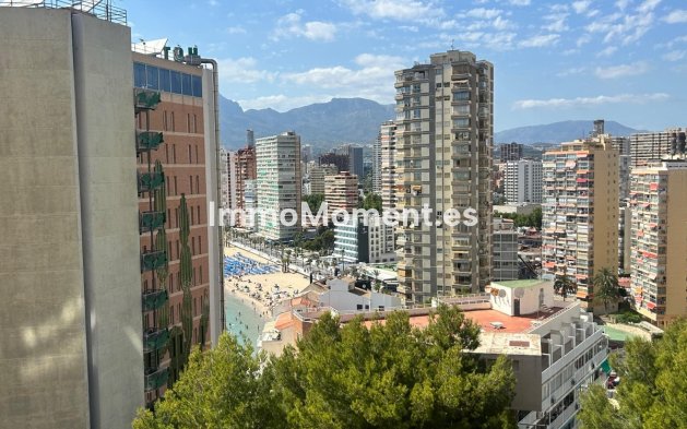 Resale - Apartment - Benidorm - Benidorm Centro