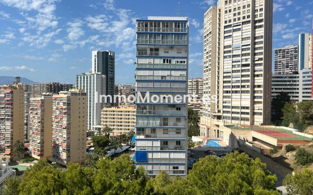 Resale - Apartment - Benidorm - Benidorm Centro