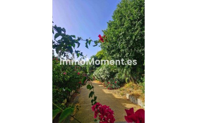 Bestaande woning - Rijtjeshuis - Estepona  - Estepona Centro