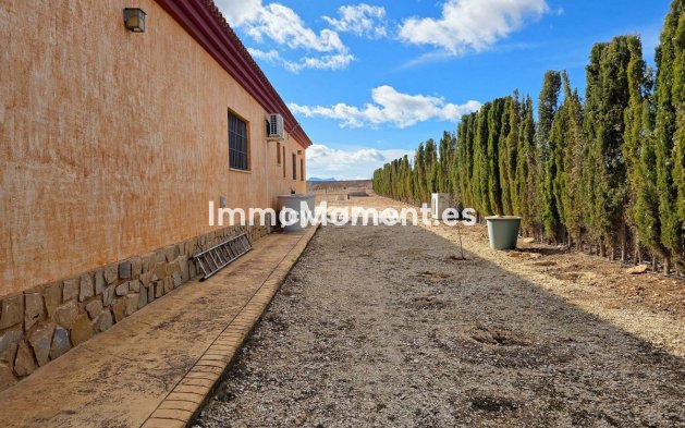 Resale - Detached villa - Pinoso - Pinoso Centro